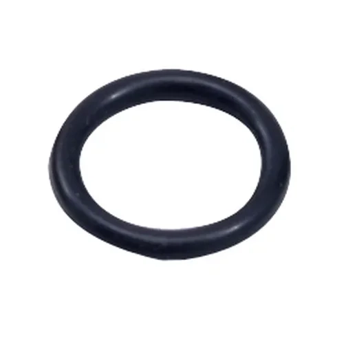 O-ring per regolatore di pressione della benzina AEM