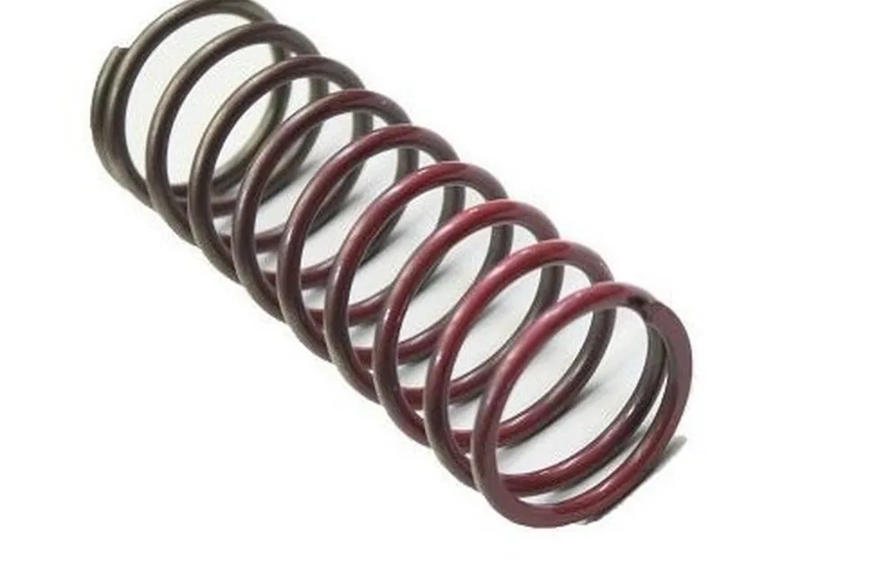 Resortes de válvula de descarga Tial