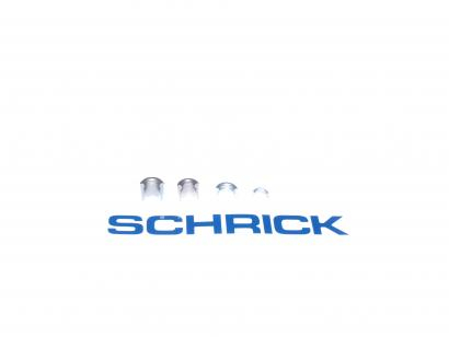 Cuña de válvula Schrick RK7