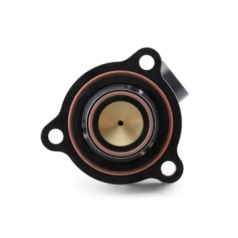 2.0 TSI EA888 evo4 & 2.9 TFSI EA839 DV+ T9480 blow off valve GFB
